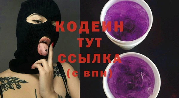 индика Балахна