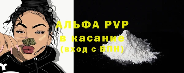 индика Балахна