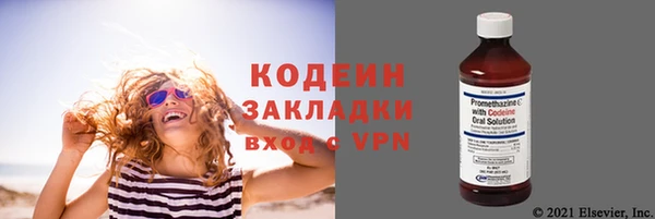 индика Балахна