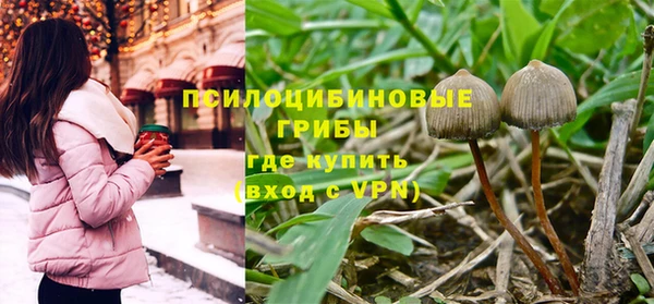 стафф Балабаново