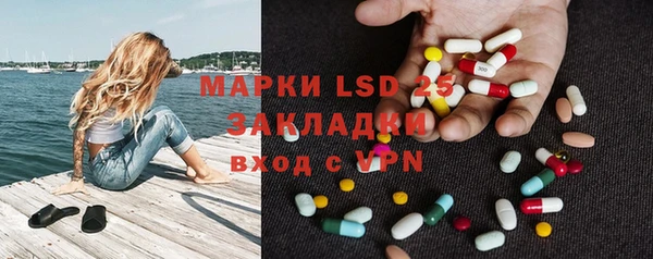индика Балахна