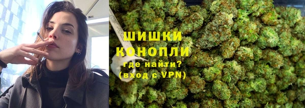 индика Балахна