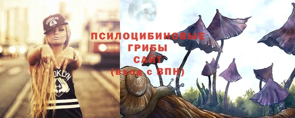 индика Балахна